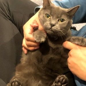 Meet your Posher, Ana